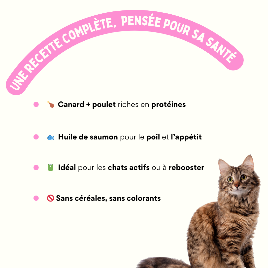 Pâtée au canard et au poulet
