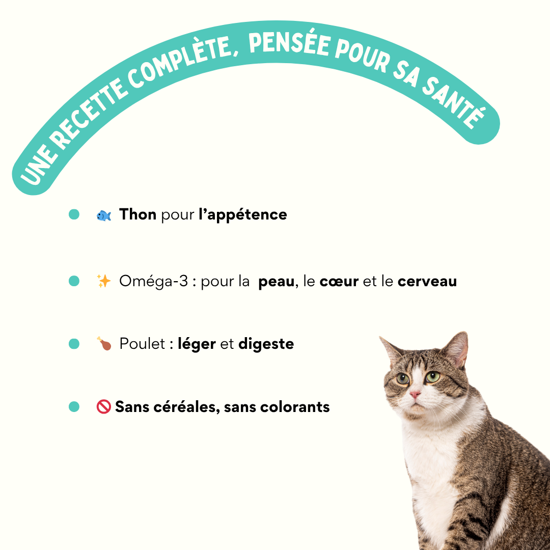 Pâtée au thon et au poulet