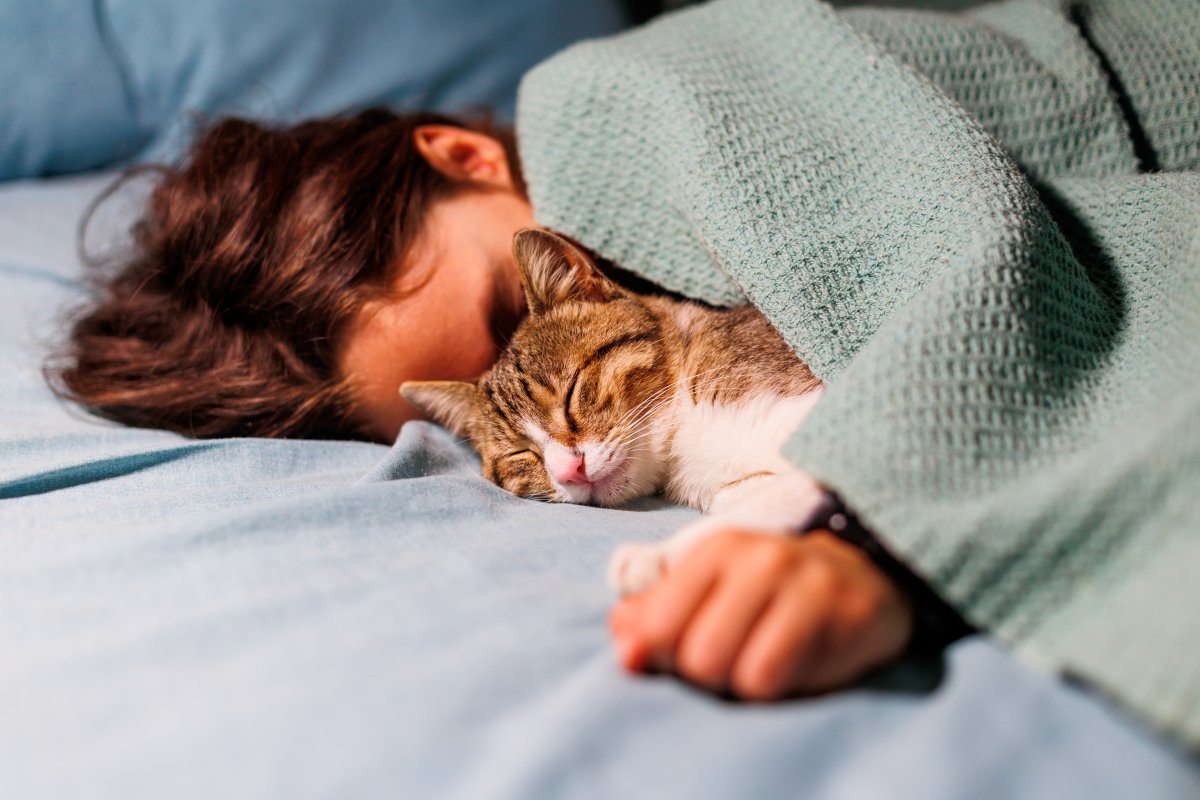 Chat et enfant Les gestes et précautions à prendre pour que tout se passe bien Chat Vie et Santé
